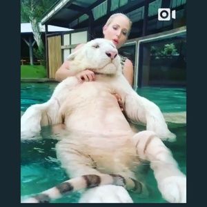 Meet your Posher, Linton